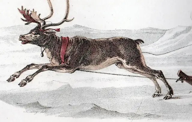 Illustration ur Ett år i Sverige (1864), sida 120