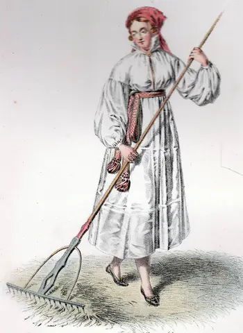Illustration ur Ett år i Sverige (1864), sida 141