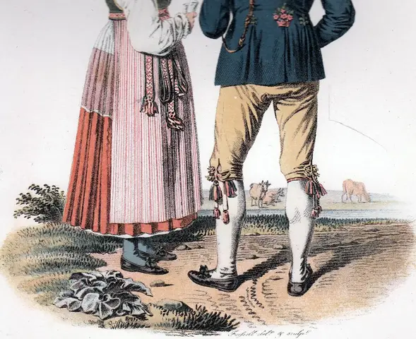 Illustration ur Ett år i Sverige (1864), sida 142