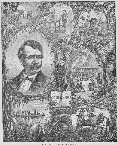 Illustration, sida 516
