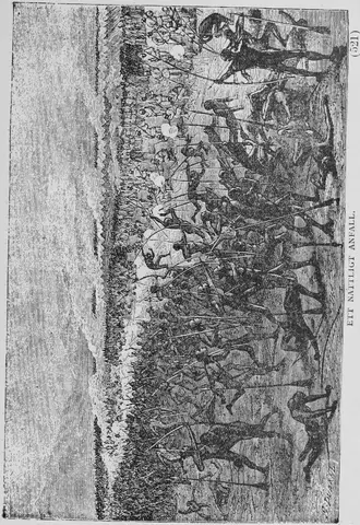 Illustration, sida 521