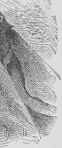 Illustration, sida 543