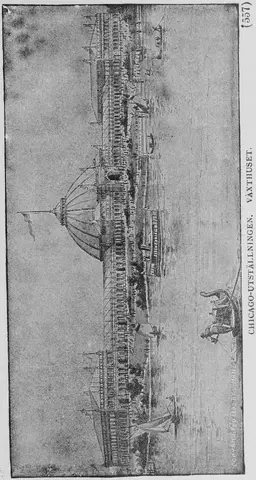 Illustration, sida 557