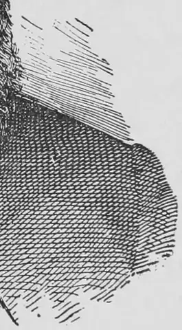 Illustration, sida 583