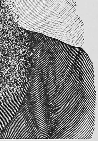 Illustration, sida 620