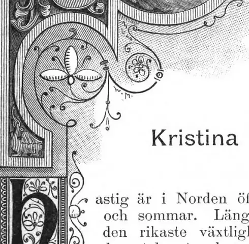 Illustration, sida 49