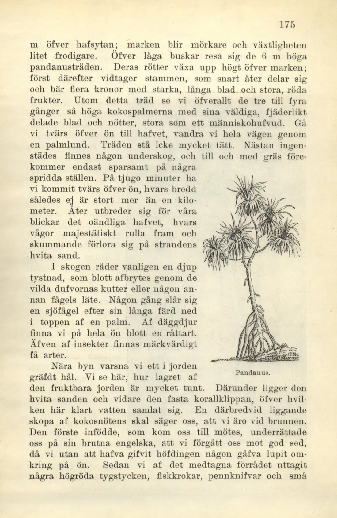 Originalsida 175