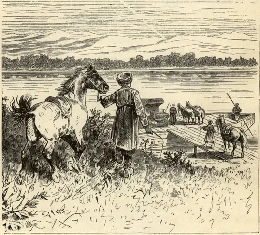 Illustration, sida 23