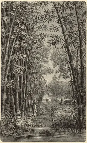Illustration, sida 97