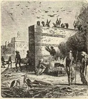 Illustration, sida 106