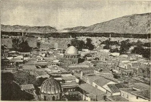 Illustration, sida 117