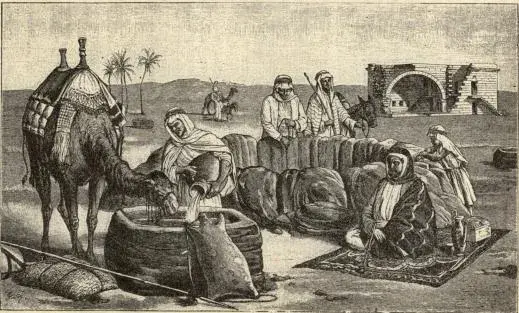 Illustration ur Geografiska skildringar. 2. (1895), sida 127