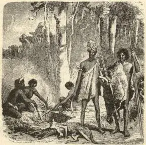 Illustration, sida 146