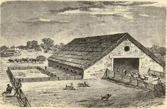Illustration, sida 151