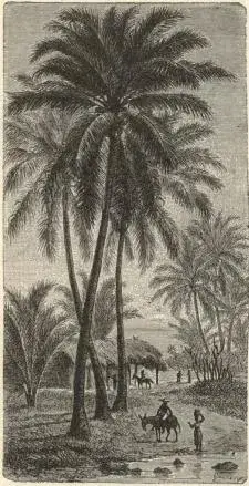 Illustration, sida 176