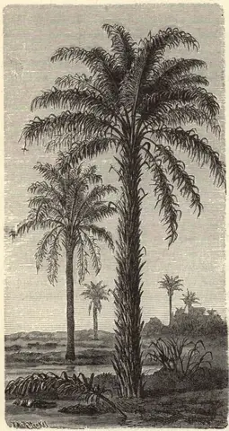 Illustration, sida 14