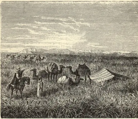 Illustration, sida 17