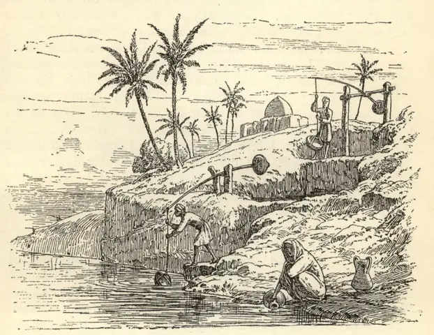 Illustration, sida 31