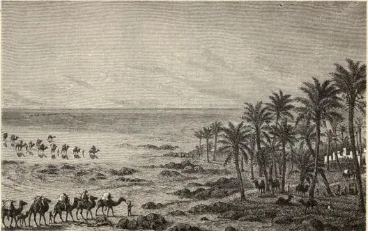 Illustration, sida 63
