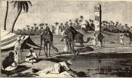 Illustration ur Geografiska skildringar. 3. (1897), sida 65