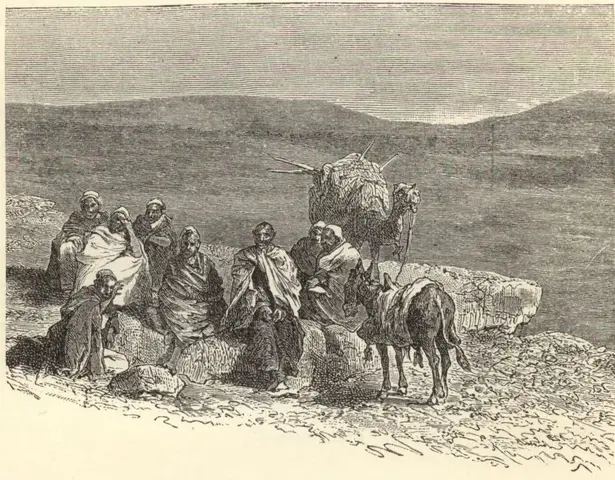 Illustration, sida 74