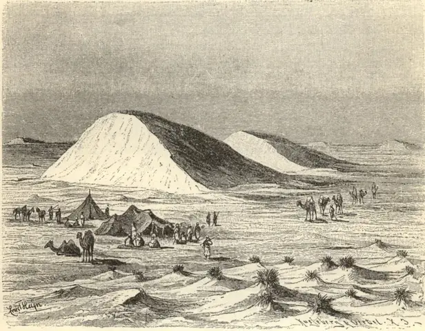 Illustration, sida 75