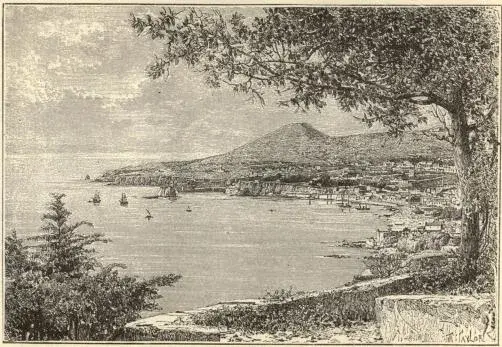 Illustration, sida 79