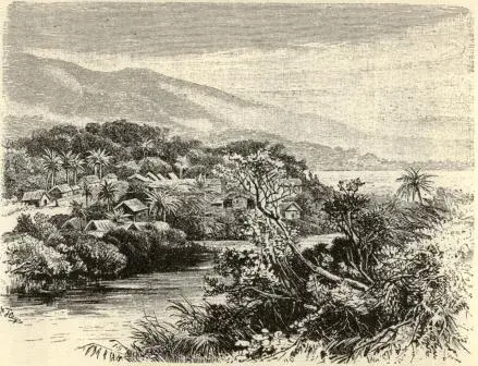 Illustration, sida 95