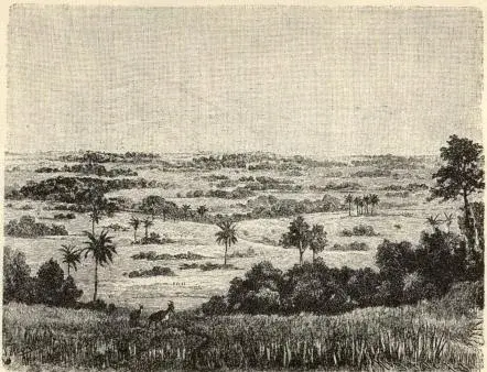 Illustration, sida 109