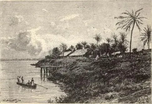 Illustration, sida 113