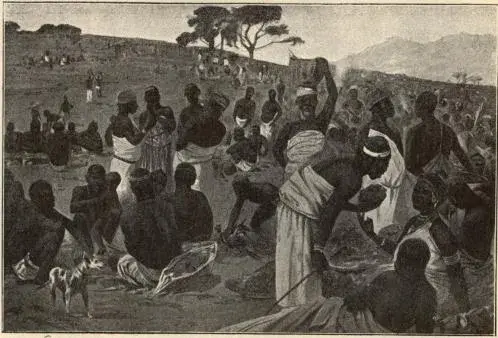 Illustration, sida 145