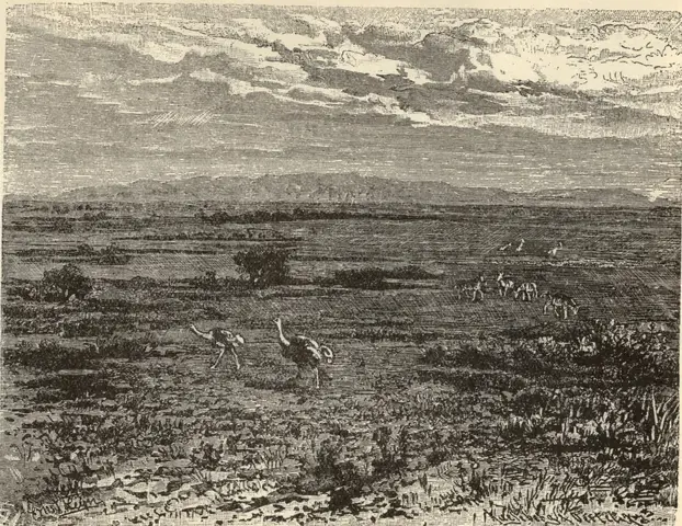 Illustration, sida 147