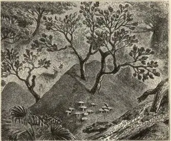 Illustration, sida 161