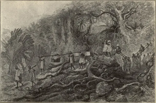 Illustration, sida 177