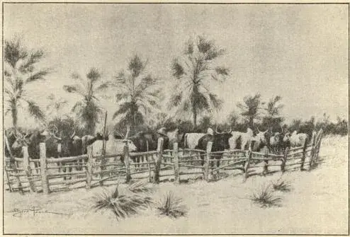 Illustration, sida 183
