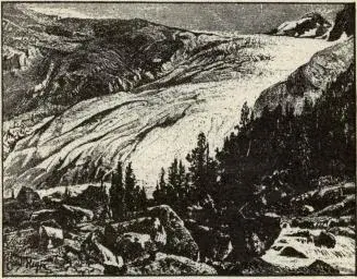 Illustration, sida 31