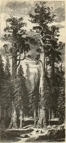 Illustration, sida 93
