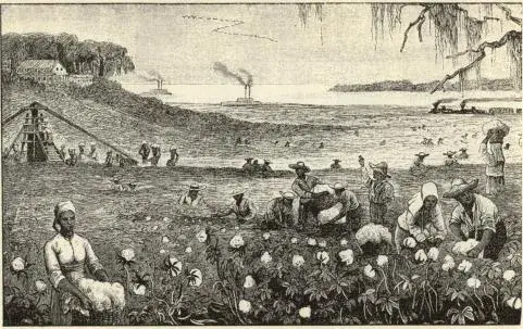 Illustration, sida 105