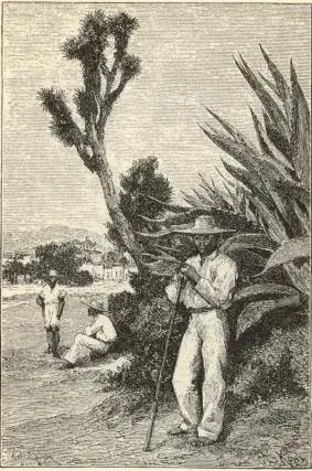 Illustration, sida 121