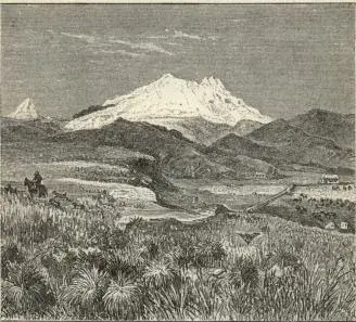 Illustration, sida 141