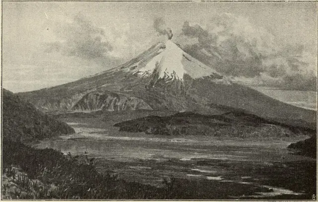 Illustration, sida 143