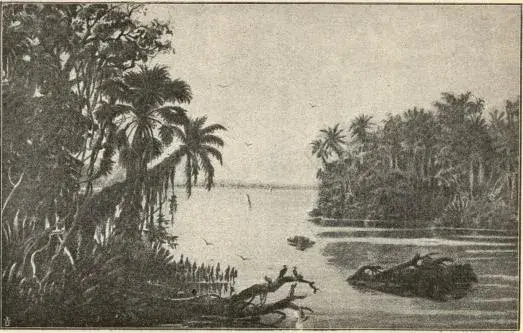 Illustration, sida 161
