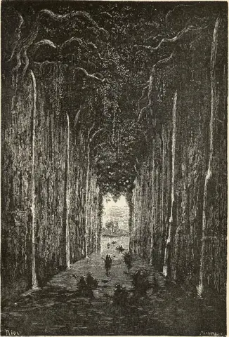 Illustration, sida 169