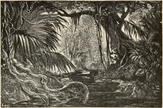 Illustration, sida 173