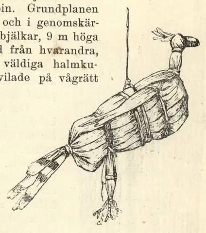 Illustration, sida 183
