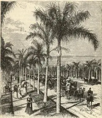 Illustration, sida 193