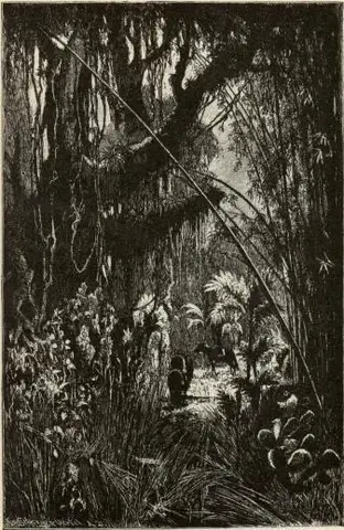 Illustration, sida 195