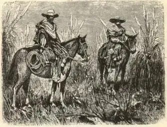Illustration, sida 198
