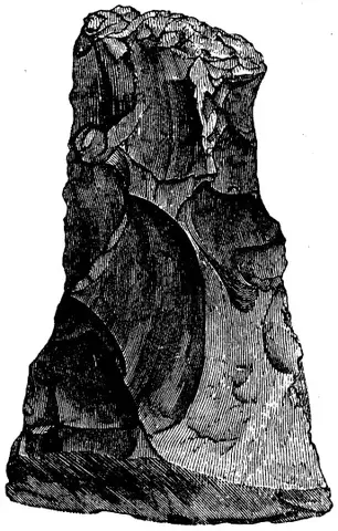 Illustration, sida 40