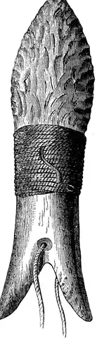 Illustration ur Sveriges stenålder. (1874), sida 67